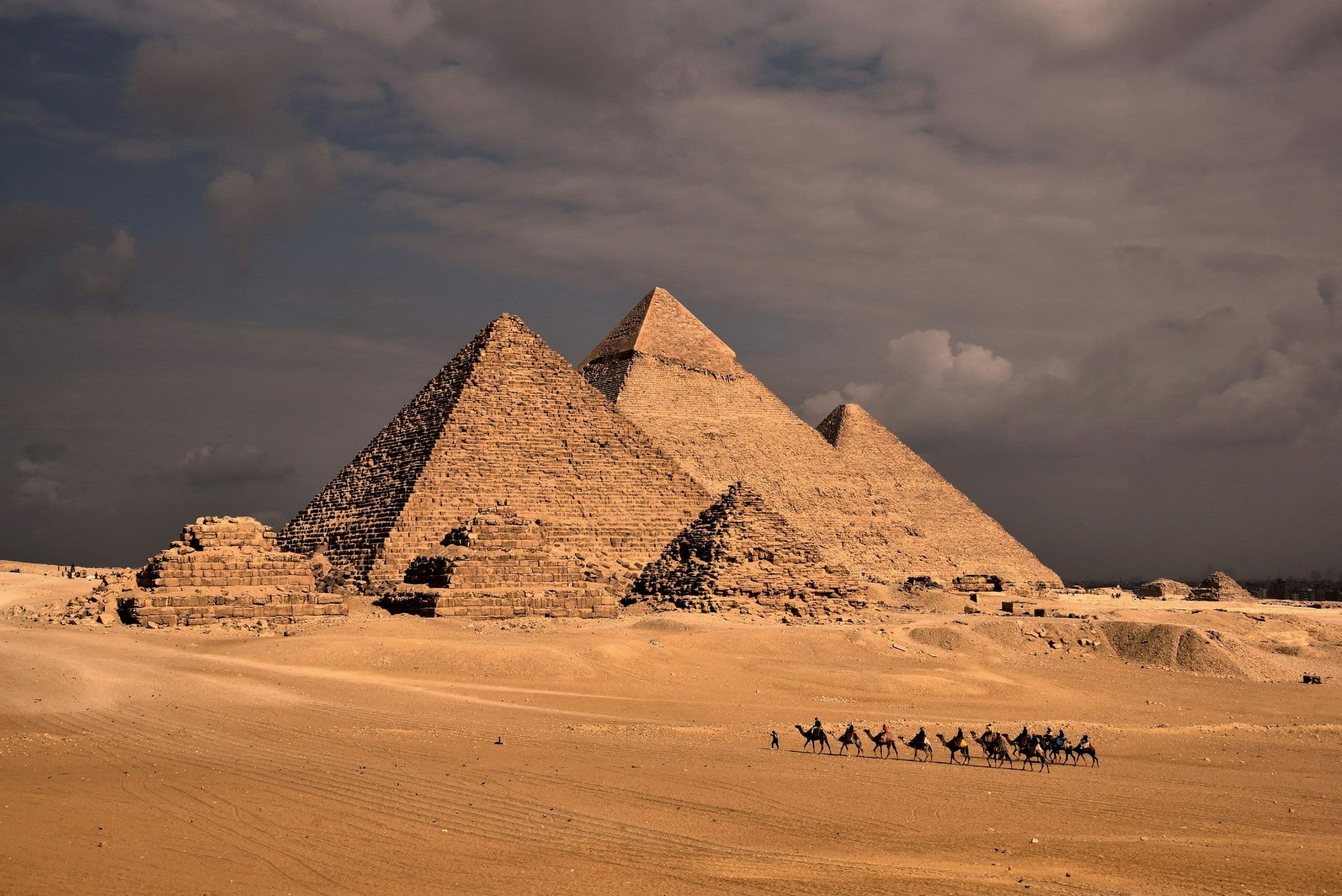 Camels crossing the desert before the Pyramids of Giza