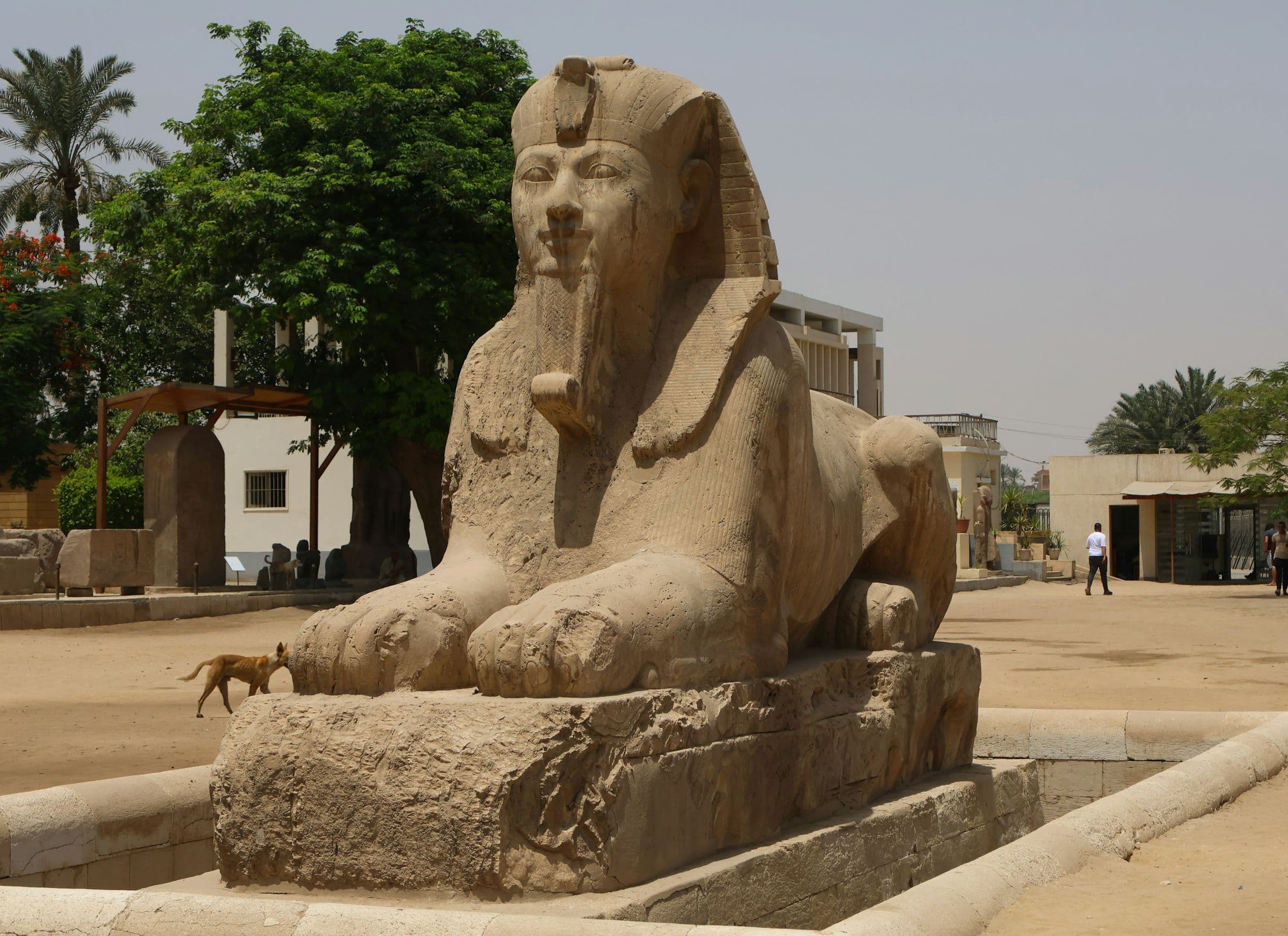 The alabaster sphinx at Memphis